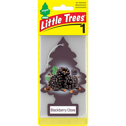 Little Trees Paper, 1pk - Blackberry Clove