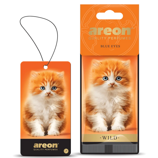 Areon Paper, Wild - Blue Eyes