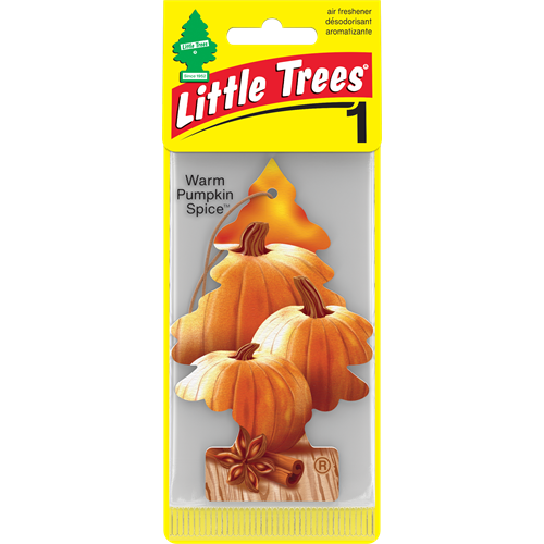 Little Trees Paper, 1pk - Warm Pumpkin Spice