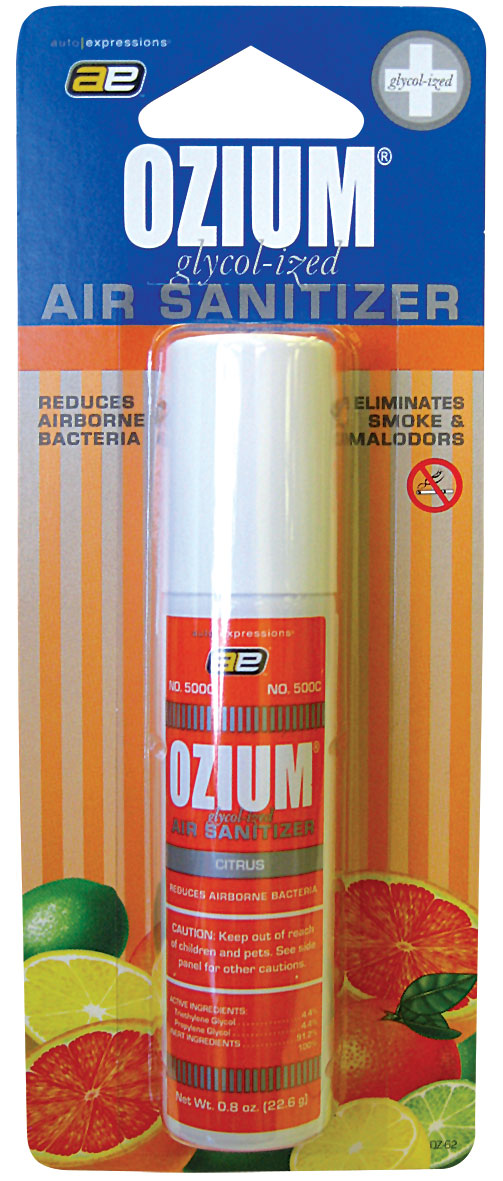 Ozium Gel, 4.5oz - Outdoor Essence